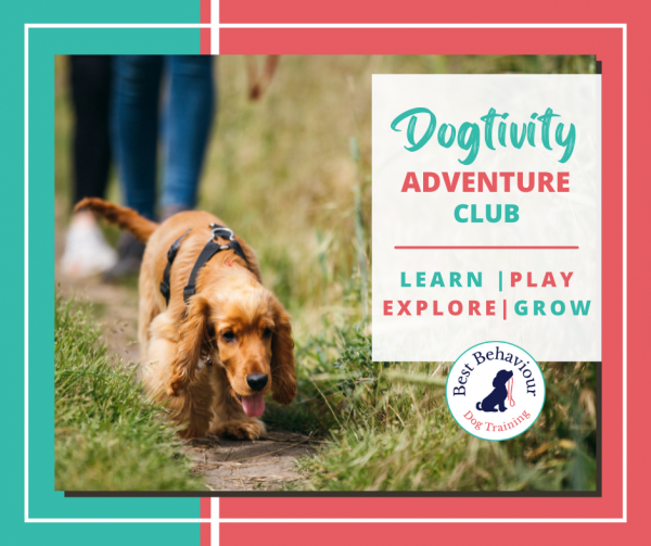 Dogtivity Adventure Club (Intermediate to Advanced)