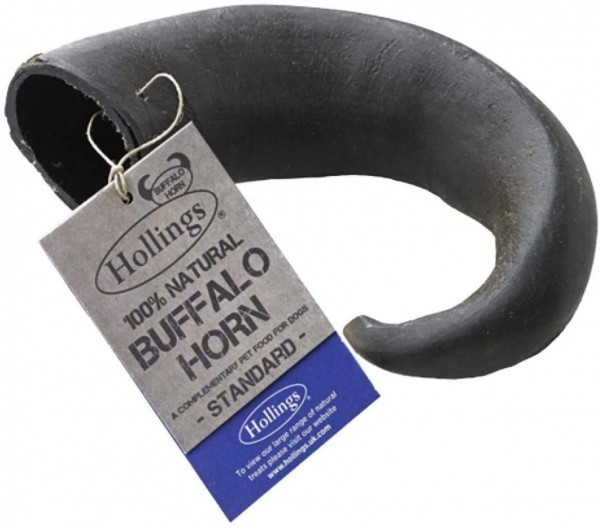 Buffalo Horn