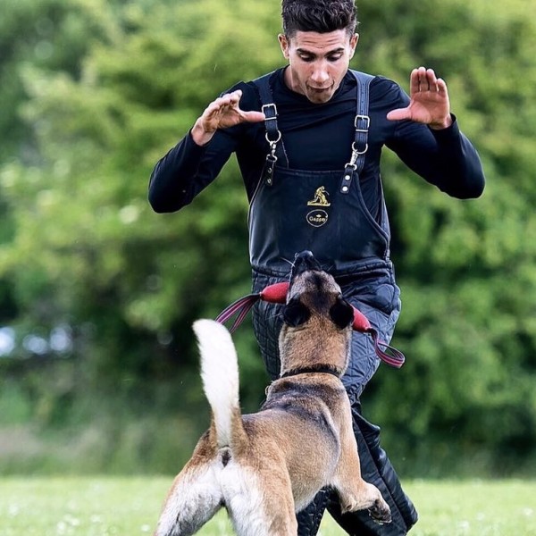 Craig Ogilvie Dog Training Craig Ogilvie Dog Training