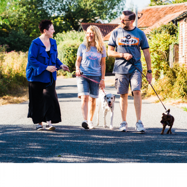 Puppy & Dog GROUP 121 Packages in Ipswich & Colchester - 1-4 dogs