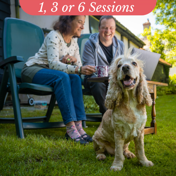 Puppy & Dog 121 Live online Training Via Zoom