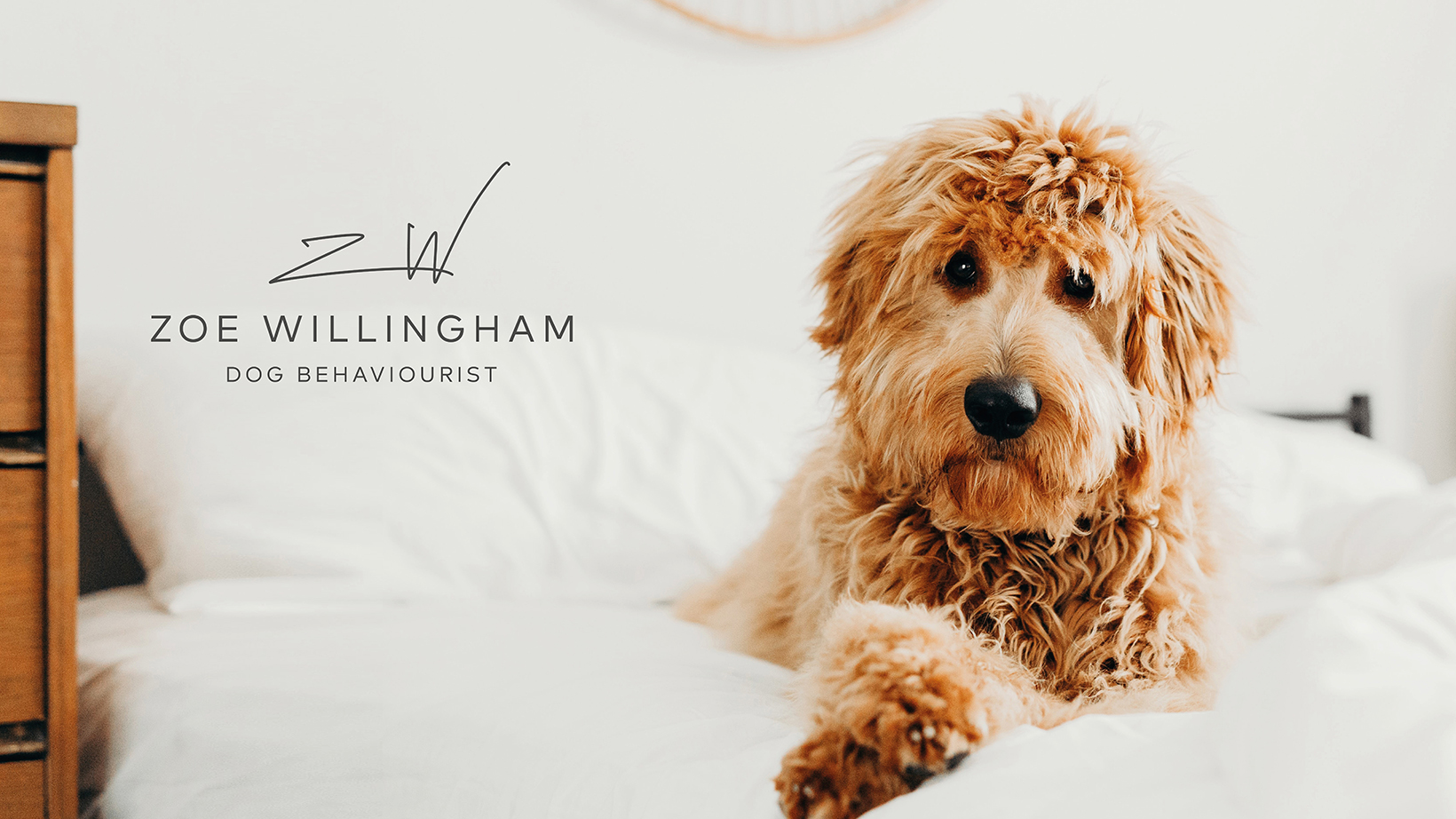 Dog Behaviourist in Suffolk Helping dogs with problems