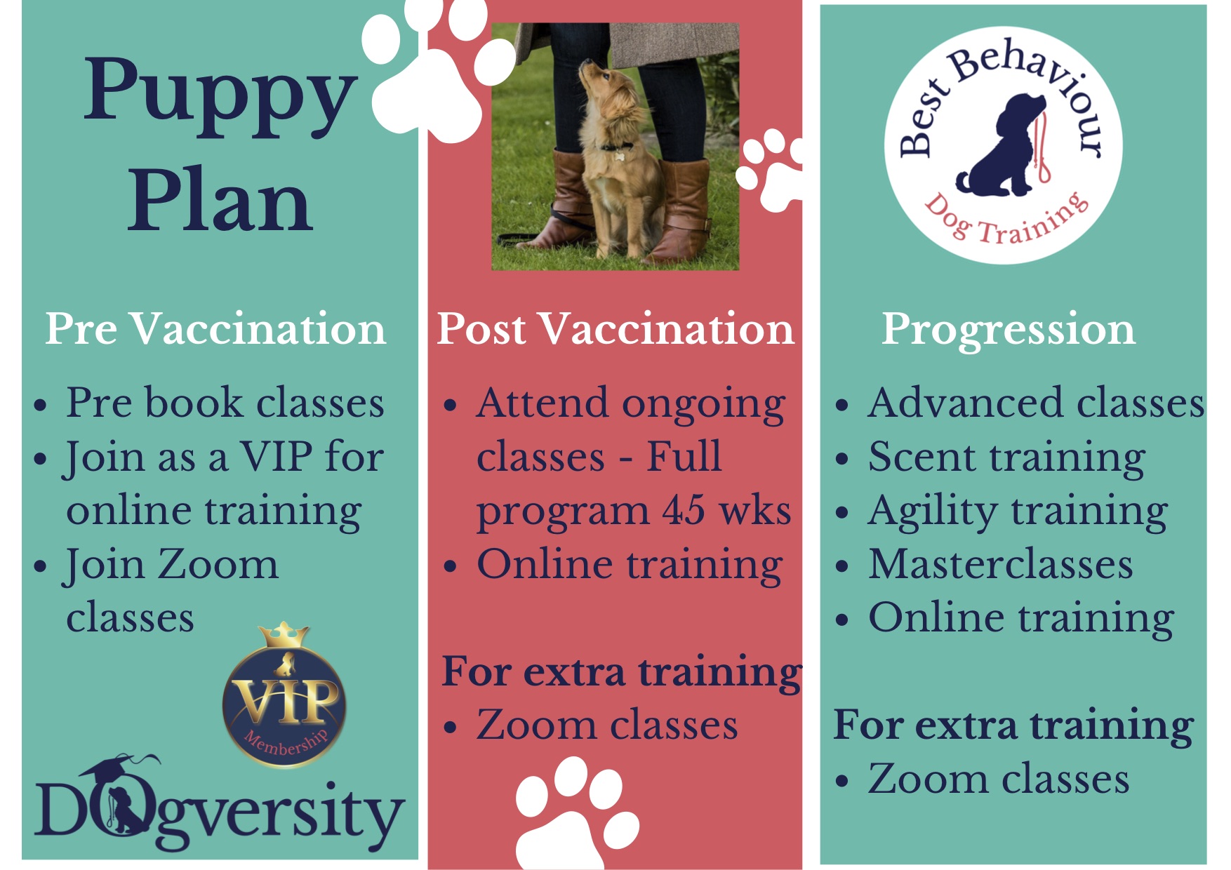 Puppy Training And Socialisation Classes Near Me Puppy Socialisation